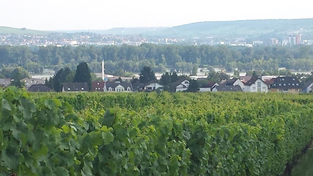 Ferienwohnung Weingut Leis Oestrich-Winkel Bilik gambar